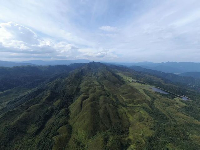 羅坑鱷蜥保護區首次發(fā)現鴛鴦