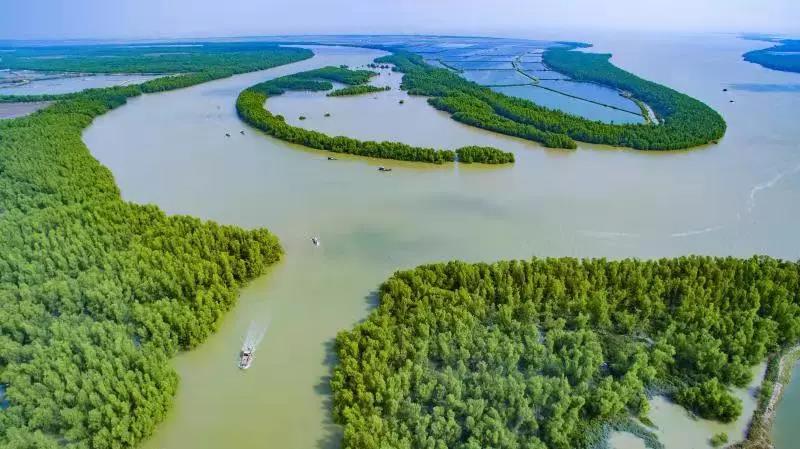 湛江市全面推行林長(cháng)制工作