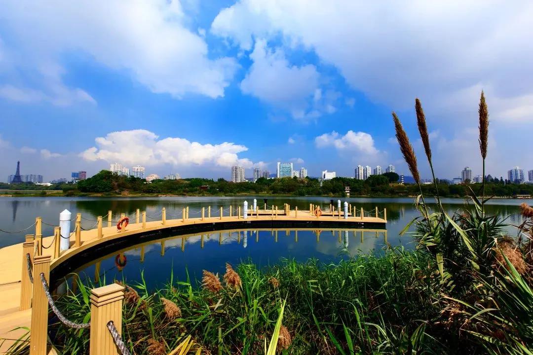 深圳市政府審議通過(guò)全面推行林長(cháng)制實(shí)施方案