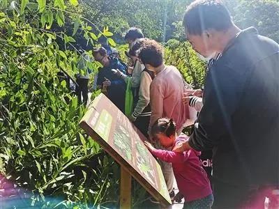 珠海淇澳紅樹(shù)林“鳥(niǎo)類(lèi)大觀(guān)園”向公眾開(kāi)放