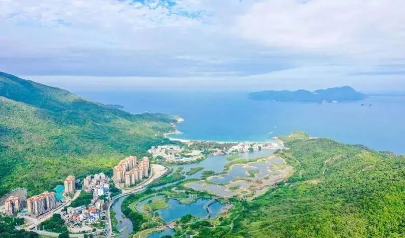 即將對外開(kāi)放！深圳大鵬新建一紅樹(shù)林濕地公園